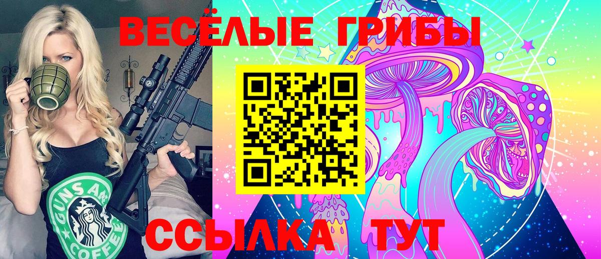 Псилоцибиновые грибы Psilocybine cubensis  Вход с VPN  Отрадное 