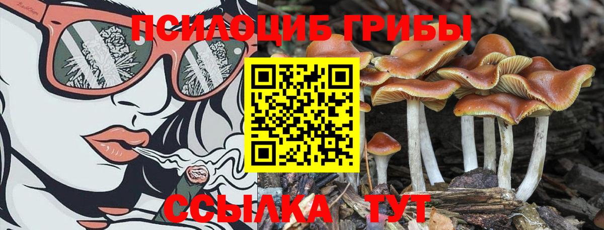 Псилоцибиновые грибы ЛСД Отрадное