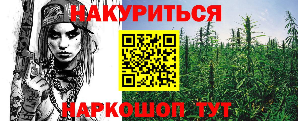 Каннабис план Отрадное